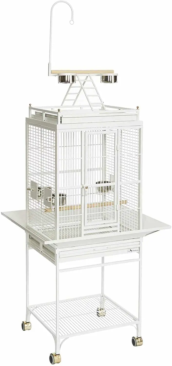 Midwest Homes for Pets Avian Adventures Nina Play Top Bird Cage