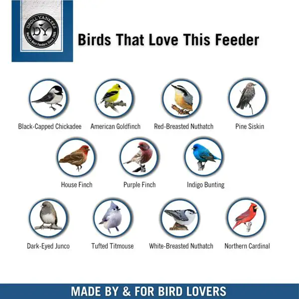 Droll Yankees Onyx Clever Clean And Fill Mangeoire pour oiseaux à graines mélangées