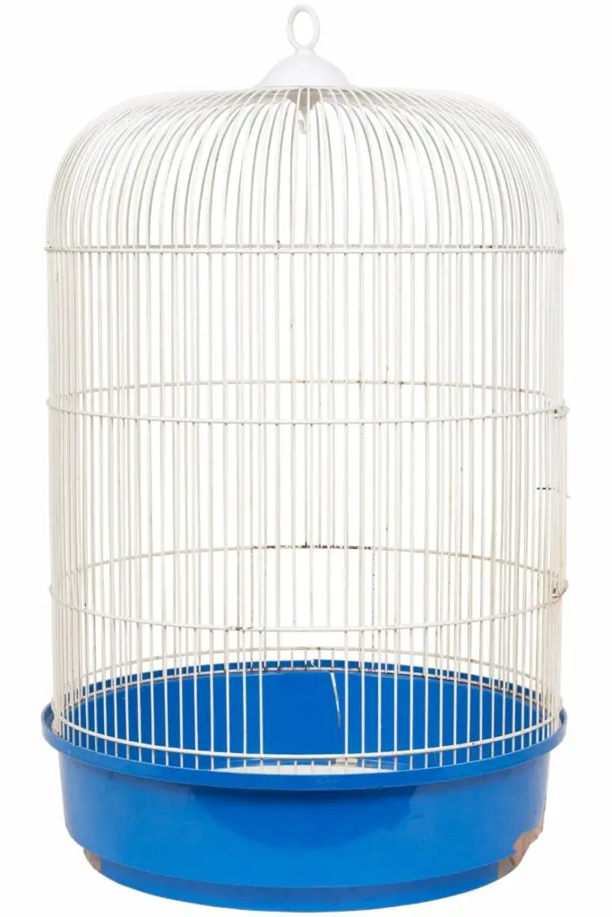 Plastic cage